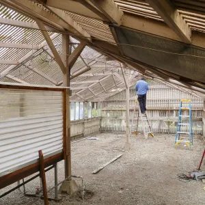 Garden Growers Lath House at start of repairs. Interior looking northeast from southwest corner.