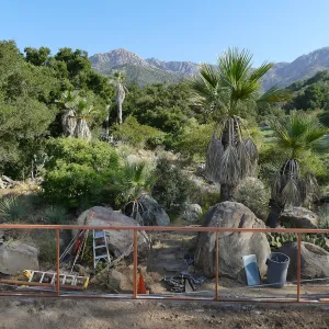 Desert Section, looking north from Garden Growers Nursery