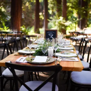 Garden to Table Dinner in the Redwoods 2017