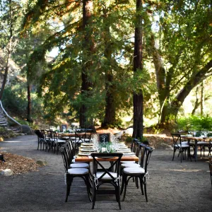 Garden to Table Dinner in the Redwoods 2017