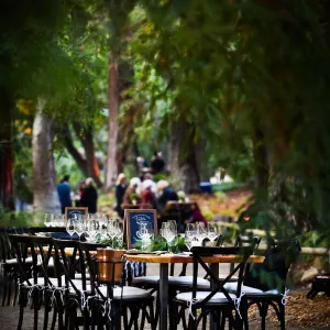 Garden to Table Dinner in the Redwoods 2017