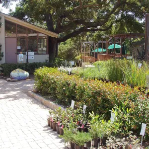 Blaksley Library and Garden Growers Nursery