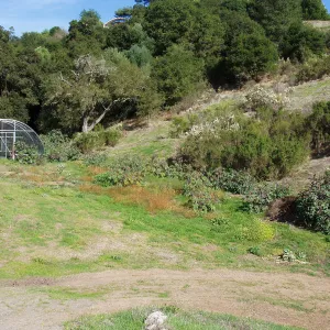 Cavalli property