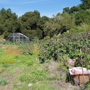 Cavalli property