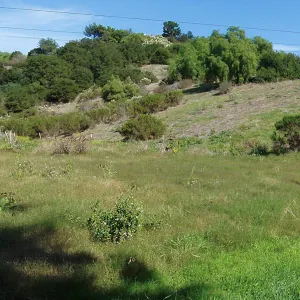 Cavalli property