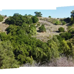 Cavalli Ridge