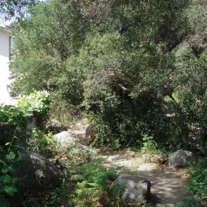 Home Demonstration Garden and south side of Herbarium