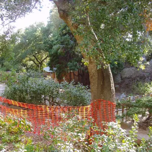 Discovery Garden construction