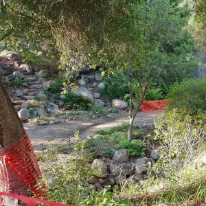 Discovery Garden construction
