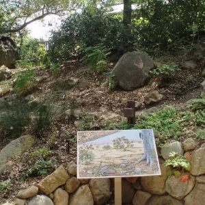 Discovery Garden