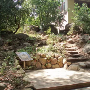 Discovery Garden