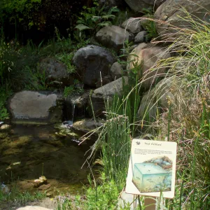Discovery Garden
