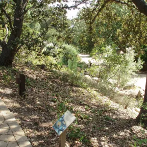 Discovery Garden
