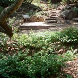 Discovery Garden