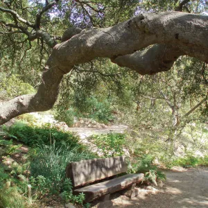 Discovery Garden