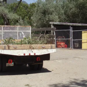 Storage shed at north side of Gane House