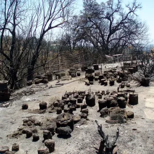 Gane House site after Jesusita fire