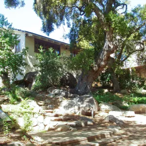 Herbarium east side