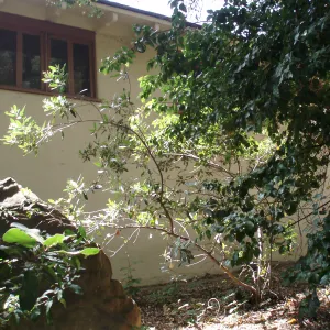 Herbarium east side