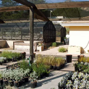 Nursery and Horticulture Unit looking north