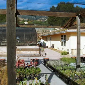 Nursery and Horticulture Unit looking north