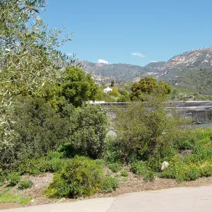 Garden Growers Canyard view from south