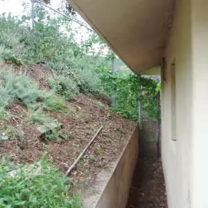 Horticulture Unit north side