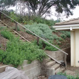 Stairs to upper parking area at north west corner of Horticulture Unit