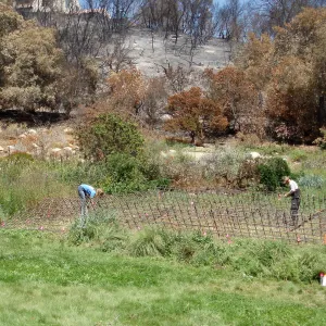 Installation of Herb Parker's â€˜Haven' labyrinth sculpture in Meadow