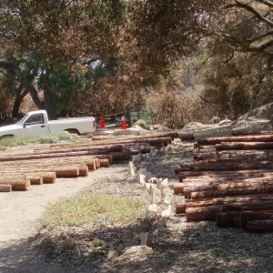 Installation of Herb Parker's â€˜Haven' labyrinth sculpture in Meadow