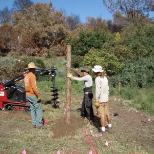 Installation of Herb Parker's â€˜Haven' labyrinth sculpture in Meadow