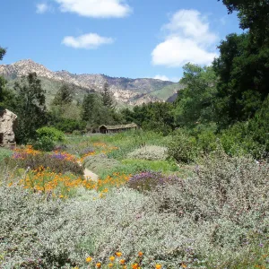 Herb Parker's â€˜Haven' labyrinth sculpture in Meadow