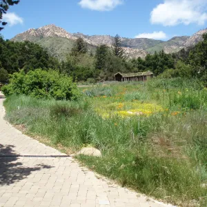 Herb Parker's â€˜Haven' labyrinth sculpture in Meadow