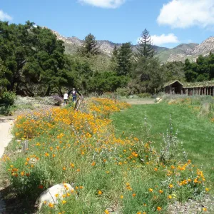 Herb Parker's â€˜Haven' labyrinth sculpture in Meadow