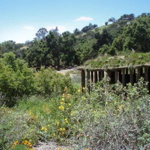 Herb Parker's â€˜Haven' labyrinth sculpture in Meadow