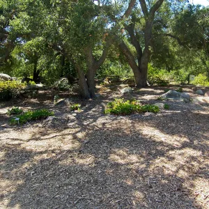 Meadow Terrace construction