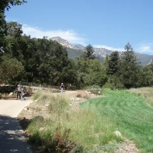 Meadow Terrace construction