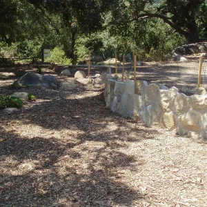Meadow Terrace construction