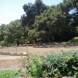 Meadow Terrace construction