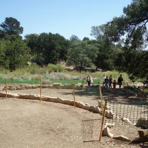 Meadow Terrace construction