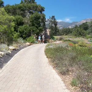Desert Section and Groundcover Section panorama