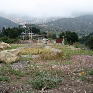 Pritzlaff Conservation Center story poles