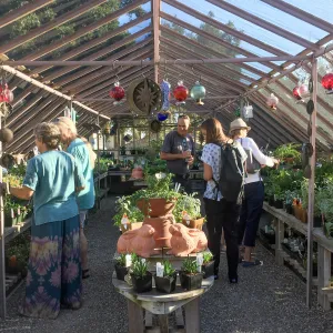 2017 Fall Plant Sale Preview Party