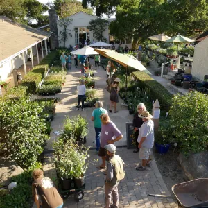 2017 Fall Plant Sale Preview Party