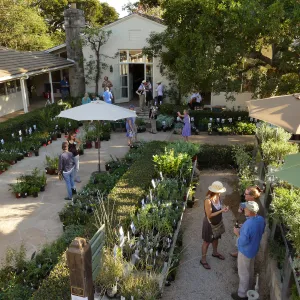 2017 Fall Plant Sale Preview Party