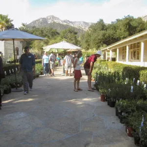 2017 Fall Plant Sale Preview Party