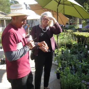 2017 Fall Plant Sale Preview Party