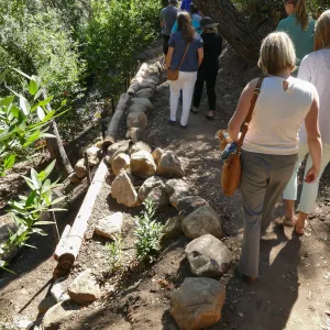 Tour of Pritchett Trail renovations, trail widening and reenforcement at leaning tree