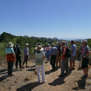 Tour of Pritchett Trail renovations, top of Island View Spur