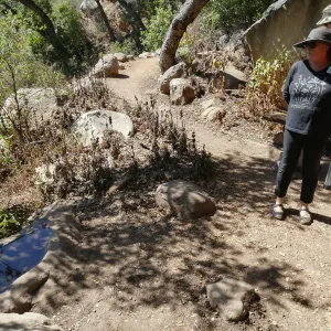 Tour of Pritchett Trail renovations, Eva Pritchett Birdbath, donated by Beatrix Farrand